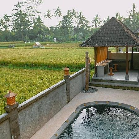 Santosha Villas & Spa Убуд Екстер'єр фото